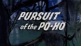 Pursuit of the Po-Ho