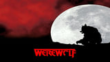 Werewolf (pilot)