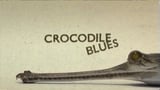 Crocodile Blues