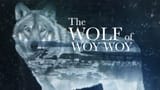The Wolf of Woy Woy