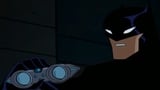 The Batman Justice League Profiles