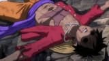 Luffy Is Defeated?! The Determination of Those Left Behind