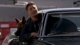 Deanovo psí odpoledne