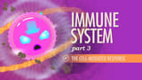 Immune System, Part 3