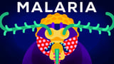 Wie wir einen unserer tödlichsten Feinde vernichten können - Gene Drive & Malaria