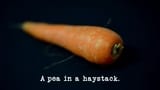 A Pea in a Haystack