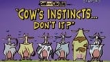 Cow's Instincts... Don't It?