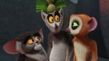 Are You There, Frank? It's me, King Julien