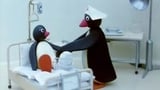 Pingu's Hospital Visit