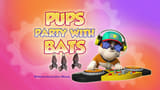 Pups Party with Bats