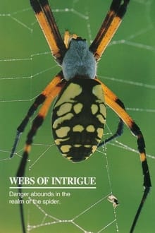 Webs of Intrigue
