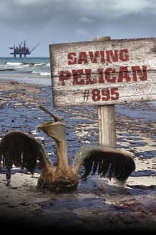 A 895. pelikán