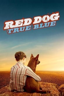 Vörös kutya - A kezdetek