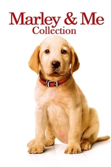 Marley & Me Collection
