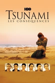 Tsunami : les conséquences