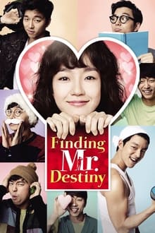 Finding Mr. Destiny