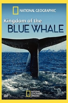 Im Reich des Blauwals