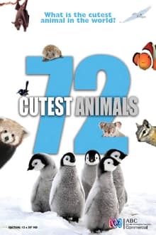 Maailman 72 suloisinta eläintä