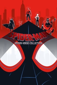 Spider-Man: Un nuovo universo - Collezione