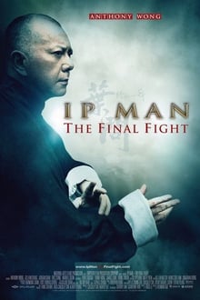 Ip Man: A Batalha Final