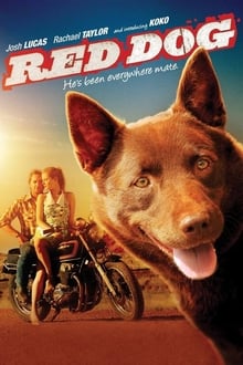 Câinele roșu