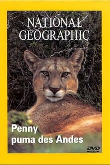 National Geographic : Penny, puma des Andes