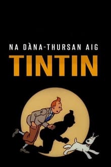 Những Cuộc phiêu Lưu của Tintin