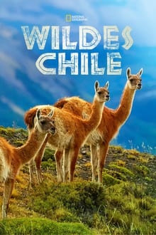 Wildes Chile