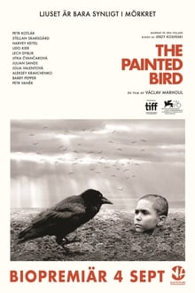 El pájaro pintado