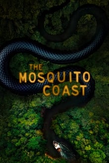 A Costa do Mosquito