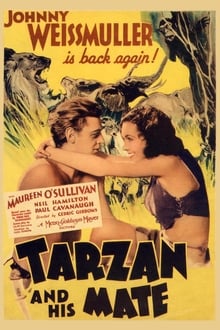 Тарзан и его подруга
