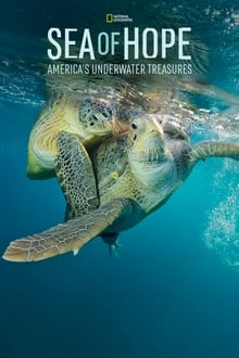Podmořské poklady Ameriky