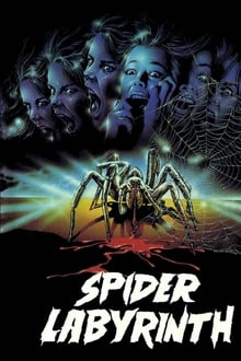 The Spider Labyrinth