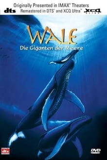 Wale: Die Giganten der Meere