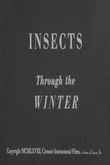 Insects Through the Winter
