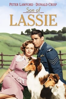 Son of Lassie
