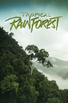 IMAX: Den Tropiska Regnskogen