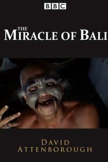 The Miracle of Bali