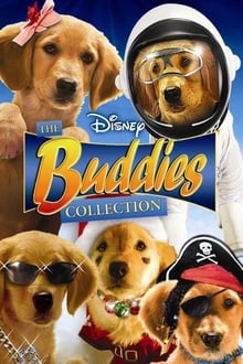 Disney Buddies Collection