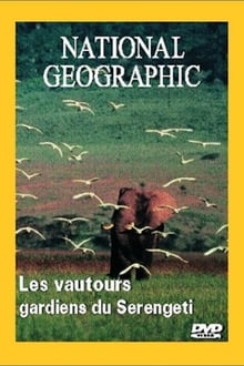 National Geographic : Les Vautours, gardiens du Serengeti