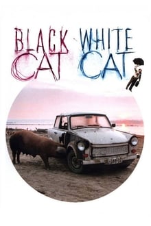 Черна котка, бял котарак