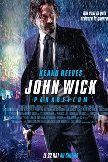 John Wick : Chapitre 3 - Parabellum