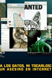 No te metas con los gatos: Un asesino en internet