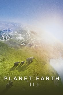 Planēta zeme