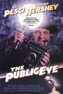 El ojo público