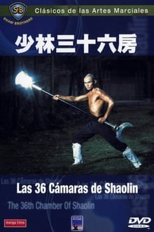 The 36th Chamber of Shaolin