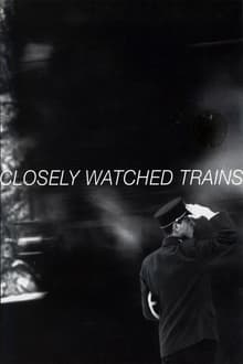 Trenes rigurosamente vigilados