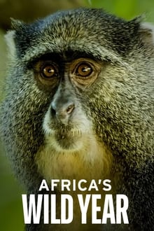 O Ano Selvagem da África