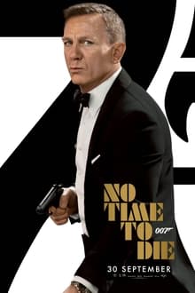 เจมส์ บอนด์ 007 ภาค 25: 007 พยัคฆ์ร้ายฝ่าเวลามรณะ