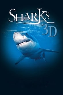 Sharks 3D
